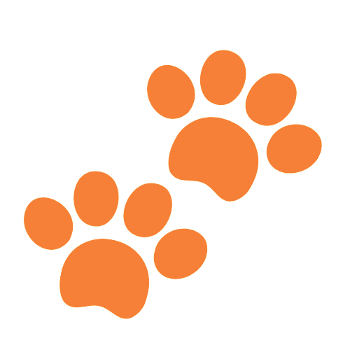 PetLyfe-Paws