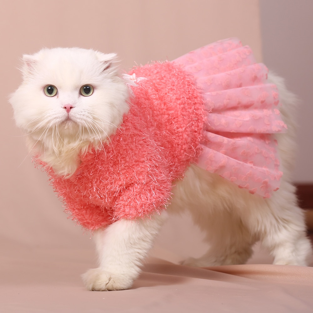 cat clothes
