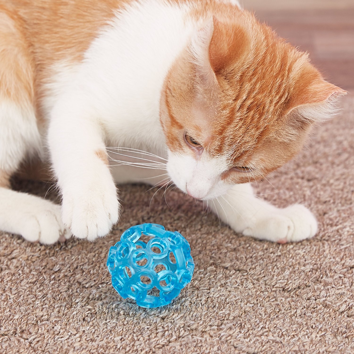 cat toy