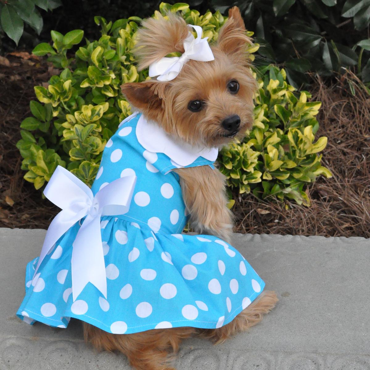 dog clothes